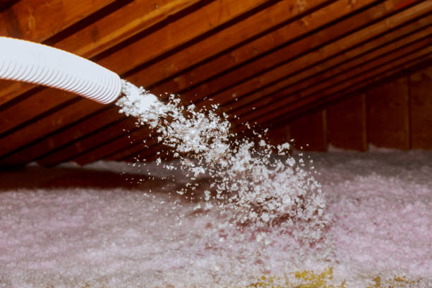 Best Geographic-Specific Insulation Services in Murphy, TX