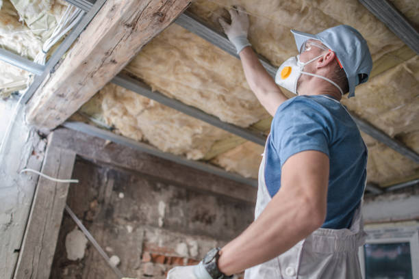 Best Spray Foam Insulation in Murphy, TX