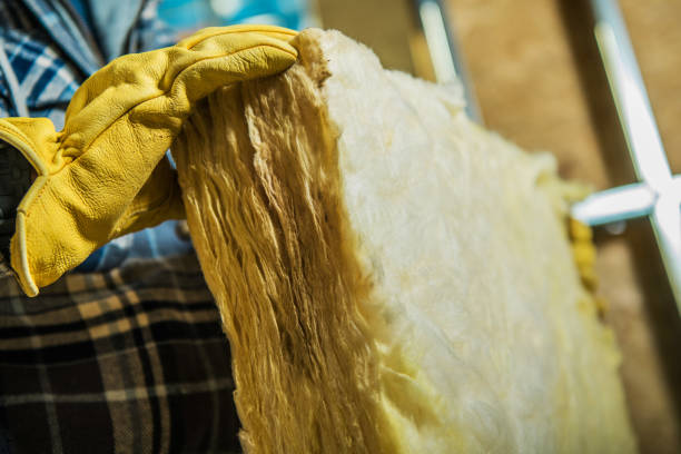 Best Commercial Insulation in Murphy, TX
