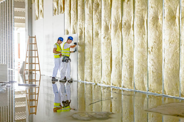 Best Fiberglass Insulation in Murphy, TX